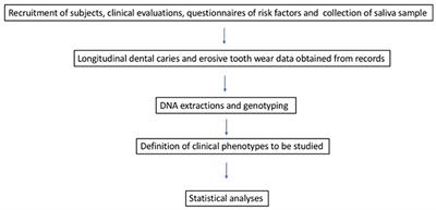 Relationship Between Dental Caries and Erosive Tooth Wear in Adolescents